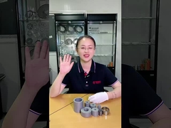 पंचिंग मोल्ड टूल पार्ट्स के लिए टंगस्टन कार्बाइड पुचिंग डाई